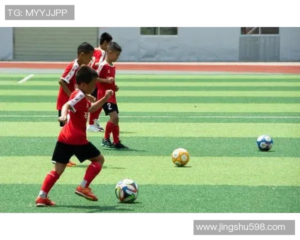 绿茵传奇：一位足球明星的自传与梦想之旅