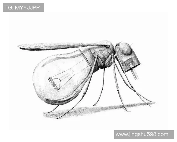 足球明星素描艺术的夸张表现与创意风格探索之旅 足球明星素描艺术的夸张表现与创意风格探索之旅