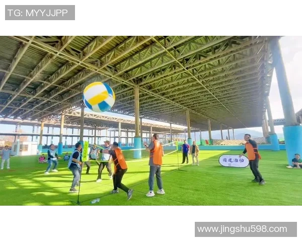 排球巨献:探秘深圳排球队的技术 排球巨献:探秘深圳排球队的技术