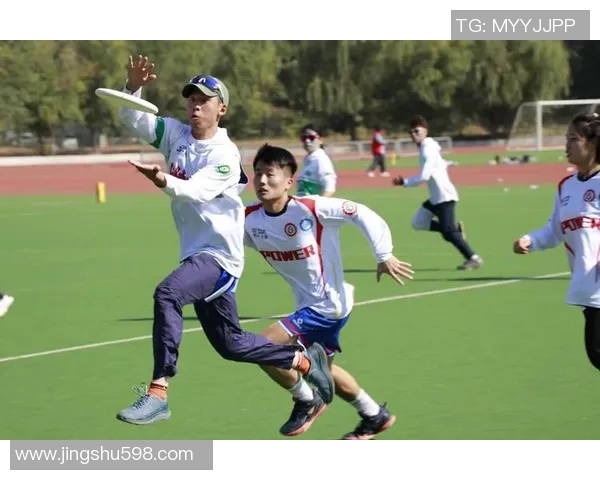 2026飞盘战术排行榜：南京飞盘队位居第3名